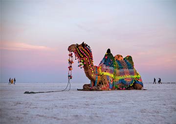  Cultural Journey through Rajasthan & Gujarat: Desert to Sea