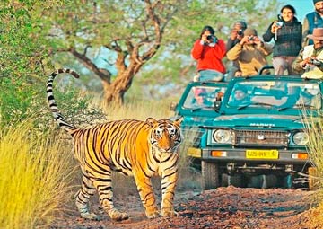 Rajasthan Wildlife & Nature Escape